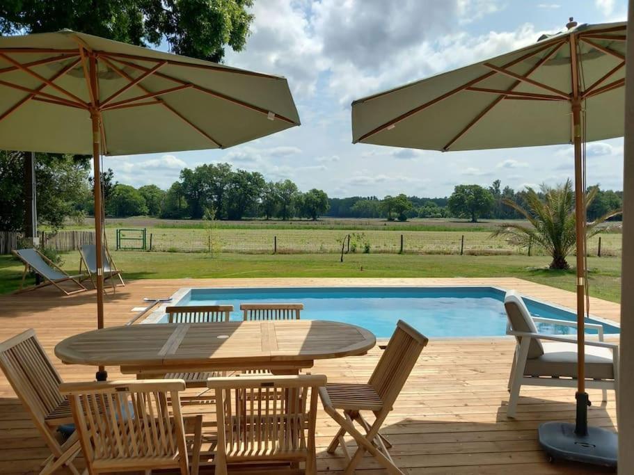 Maison Neuve Avec Piscine Chauffee, 4 Kms De Contis Plage Saint-Julien-en-Born Dış mekan fotoğraf